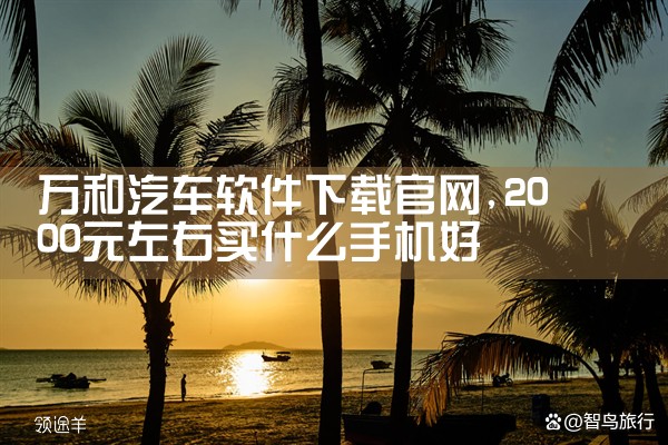 万和汽车软件下载官网