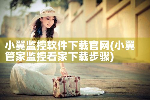 小翼监控软件下载官网