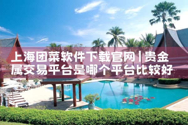 虚拟父母软件下载官网