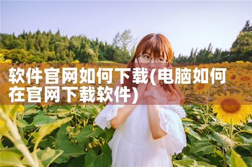 软件官网如何下载