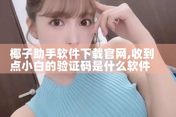 椰子助手软件下载官网