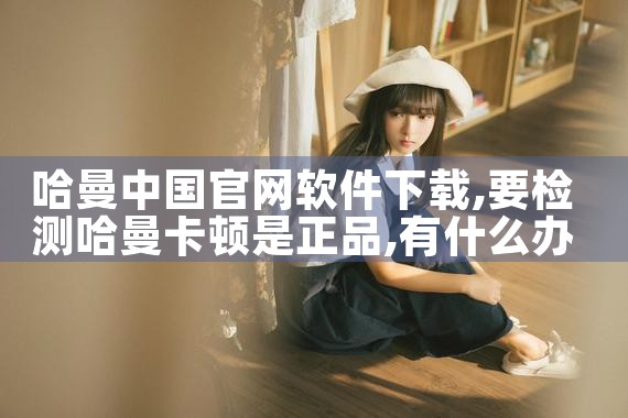 哈曼中国官网软件下载