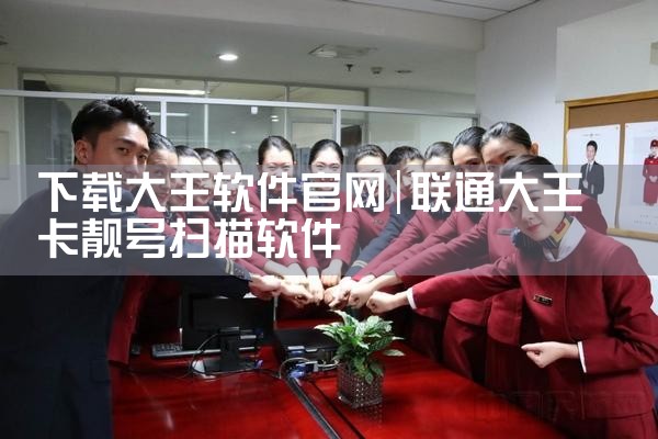 下载大王软件官网