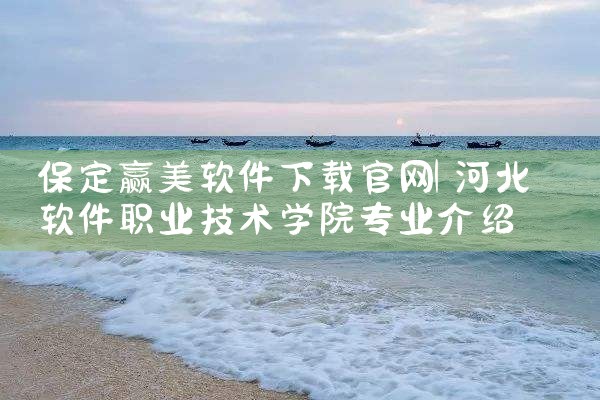 保定赢美软件下载官网