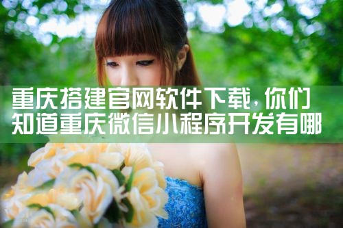重庆搭建官网软件下载
