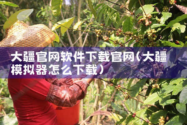 大疆官网软件下载官网