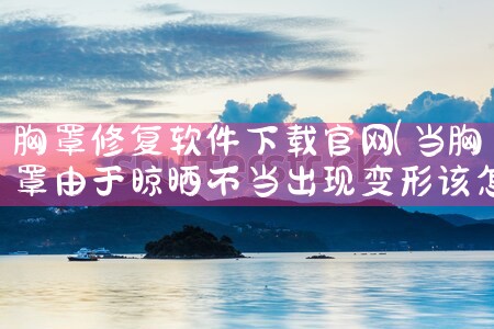 胸罩修复软件下载官网