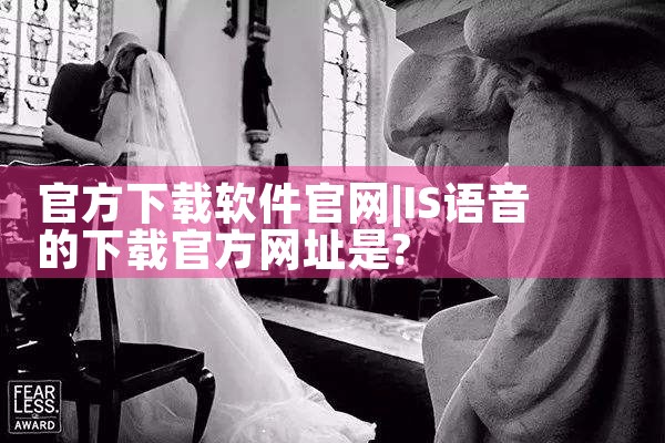 官方下载软件官网
