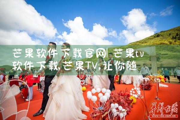 芒果软件下载官网