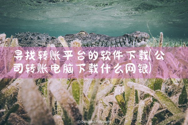 寻找转账平台的软件下载