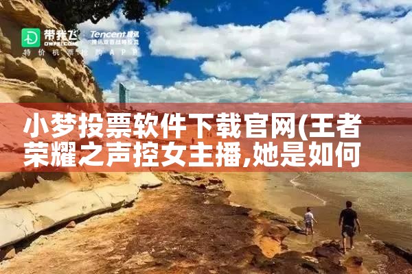 小梦投票软件下载官网