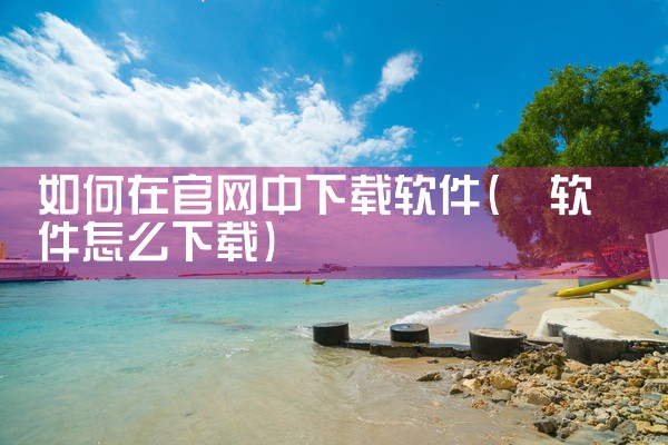 如何在官网中下载软件